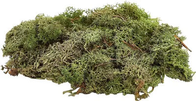 Productafbeelding van Knutsel Schuim - Bloemenschuim - Bloemdecoraties Maken - Donkergroene Kleur - 50 gram - Donkergroen