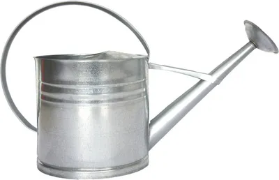 Produktbild von Esschert Design OZ76, 625 mm, 200 mm, 403 mm, 1 Stück(e)