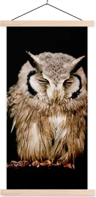 Produktbild von MuchoWow® Textilposter Eule - Vogel - Schwarz 60x120 cm mit holzfarbenen Rahmen - Holz