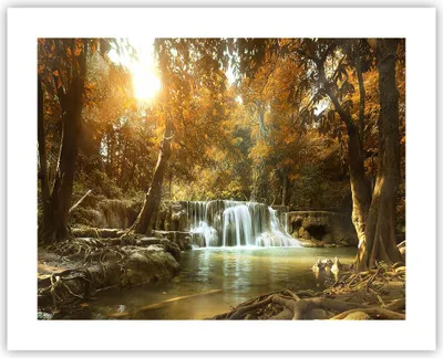 Produktbild von Poster - Poster ohne Rahmen - Park Wasserfall Wasser - 50x40 cm - Wand Bild - Wanddeko - Wandbilder - Kunstposter - Wandposter - Bilder - Kunstdruck - Wanddekoration - Wandbild - P2XAA50x40-3789