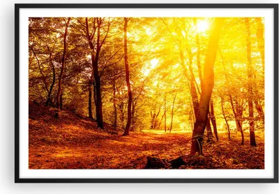 Produktbild von Gerahmtes Poster - Schwarzer Rahmen - Wald Baum Natur - 91,5x61 cm - Wand Bild - Wanddeko - Wandbilder - Kunstposter - Wandposter - Bilderrahmen - Bilder - Kunstdruck - Wandbild - P2BAA91x61-3722