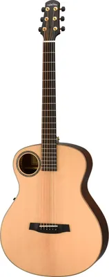Produktbild von WALDEN B103EH Bariton Grand Auditorium