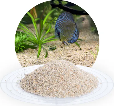 Produktbild von Schicker Mineral-Aquariumkies beige 25 kg-1,4-2,2mm