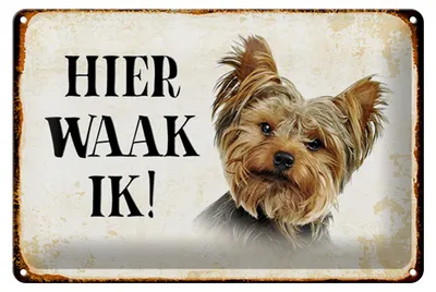 Produktbild von Blechschild Spruch 30x20cm holländisch Hier Waak ik Yorkshire Terrier