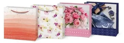 Obrázok produktu pre Darčeková taška T 170 x 170 x 60 – MFP