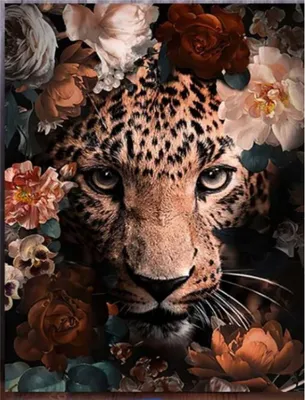Mal-nach-Zahlen-Set, Leopardenmuster, 40 x 50 cm, für Erwachsene