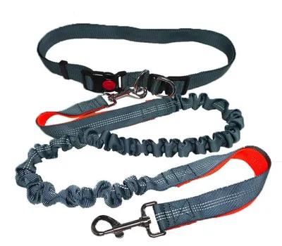 Image de Laisse mains libres pour chien, gris, extensible, avec ceinture ventrale et coutures réfléchissantes