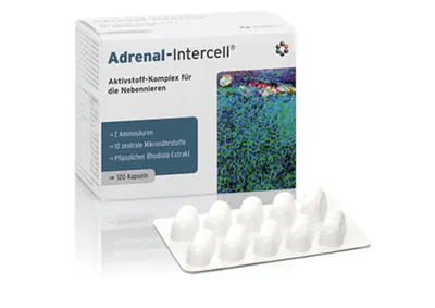 Produktbild von Nebennieren-Interzell-Stress Müdigkeit Konzentrationsmangel
