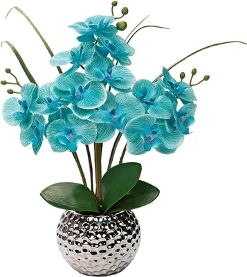 Immagine prodotto di Fiore artificiale Orchidea artificiale Phalaenopsis Fiori decorativi 49 cm Vaso in Vetroceramica