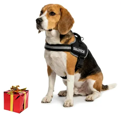 Produktbild von Hundegeschirr für mittelgroße Hunde, verstellbares Anti-Zug Brustgeschirr mit Griff, reflektierend und gepolstert, Sicherheitsgeschirr (M, Brustumfang ca. 51-67 cm)