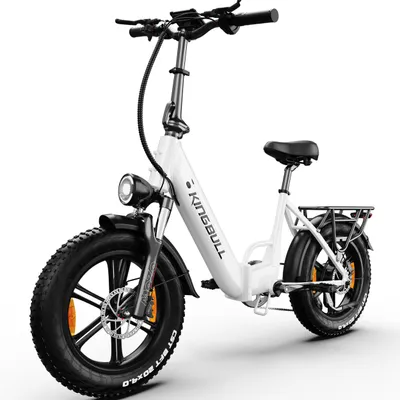 Produktbild von E-Bike Cityrad KLR herren Elektrofahrrad 648WH cityrad 20×4.0 damen 13.5AH max.100km Kettenschaltung, Heckmotor, 648 Wh, Beleuchtungsset