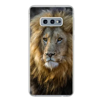 Produktbild von MuchoWow® Handyhülle Schutzhülle Hülle für Samsung Galaxy S10e Löwe - Porträt - Wild Silikon Softcase Handy Hülle - Handy