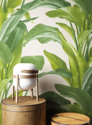 Produktbild von NEWROOM Tapete Grün Vliestapete Blumen - Blumentapete Floral Creme  Blätter Dschungel Blätter Tropisch Mustertapete