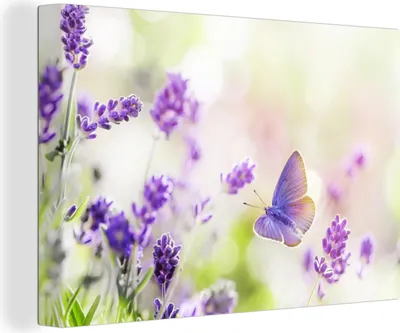 Produktbild von OneMillionCanvasses® - Leinwandbilder - 150x100 cm, Lavendel - Schmetterling - Blumen, Wandbilder Kunstdruck Wanddekoration - Foto auf Leinwand - Gemälde auf Holzrahmen