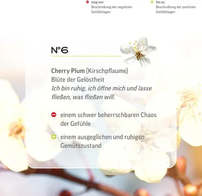 Produktbild von Bachblüten Tropfen N°6 - Cherry Plum | Kirschpflaume 20ml