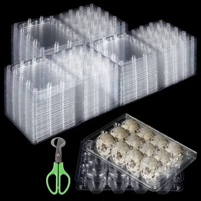 150 Wachteleier-Behälter, 12 Fächer, transparent, Kunststoff