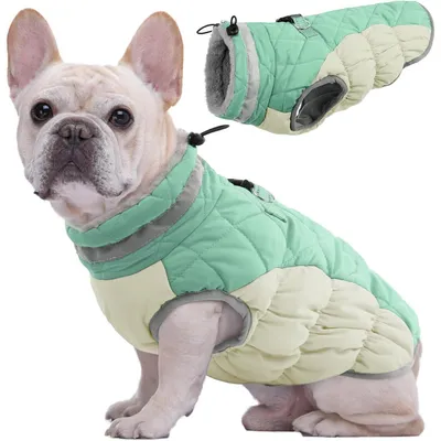 Produktbild von Hundemantel Winter für kleine Hunde Wasserdicht Winddicht Warm Fleecefutter Reflektoren Reißverschluss Pelzkragen D-Ring Grün Größe S