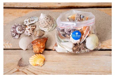 Produktbild von Bunte Muscheln Dekorationsmix 250g