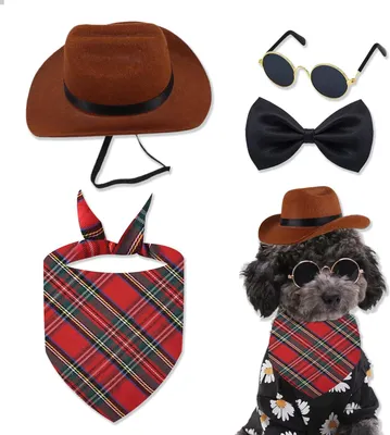 Imagen del producto de Sombrero de vaquero para perros, con gafas de sol negras, bandana y lazo, ideal para perros y gatos de tamaño pequeño y mediano