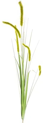 Produktbild von Dekorativer Kunstrasen, grün, 53 cm, Set mit 6 Stück