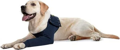 Produktbild von Famanu Hundeschuhe Pootschutz - Professionelle Vorderbeinschützer