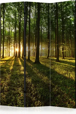 Immagine prodotto di Schermo monofacciale Paesaggi 135x172 cm Verde in 3 parti