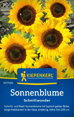 Produktbild von Kiepenkerl Sonnenblumensamen Schnittwunder Helianthus annuus 10 Pflanzen