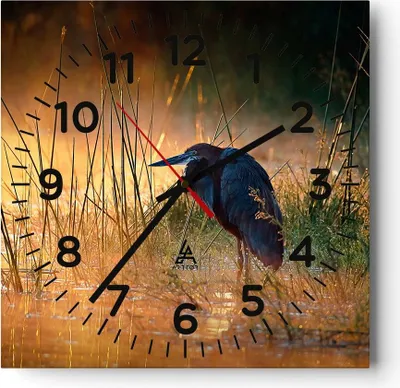 Produktbild von Wanduhr - Quadrat - Glasuhr - Vogel Natur Wasser - 40x40cm - Schleichendes Uhrwerk - Lautlos - zum Aufhängen bereit - Dekoration Modern - Wanddekoration aus Glas - C4AC40x40-3708