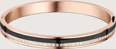 Produktbild von BERING / Jewelry / Bangle / Size 170