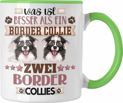 Produktbild von Trendation - Border Collies Besitzer Tasse Geschenk Lustiger Spruch Geschenkidee Was Ist Besser Als Ein Border Collies (Grün)