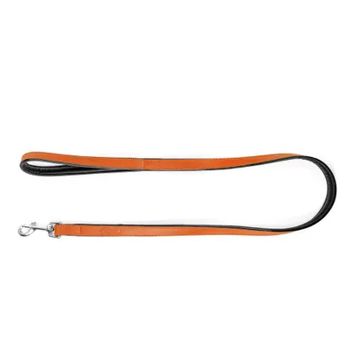 Obrázok produktu pre Vodítko pre psa Gloria 1,8 x 100 cm oranžové