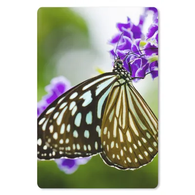 Produktbild von MuchoWow® Mauspad Mousepad Lavendel - Schmetterling - Botanisch 18x27 cm - Mousepads - Maus Mat - Pad - Mausunterlage