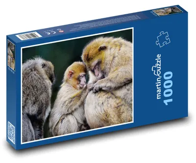Zdjęcie produktu dla Puzzle 1000 Rodzina makaków w naturze - martinpuzzle