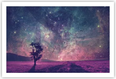 Produktbild von Poster - Poster ohne Rahmen - Kosmos Baum Wiese - 91,5x61 cm - Wand Bild - Wanddeko - Wandbilder - Kunstposter - Wandposter - Bilder - Kunstdruck - Wanddekoration - Wandbild - P2XAA91x61-4225