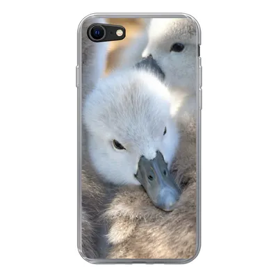 Produktbild von MuchoWow® Handyhülle Schutzhülle Hülle für iPhone 8 Schwäne - Licht - Küken Silikon Softcase Handy Hülle - Schutzhaube