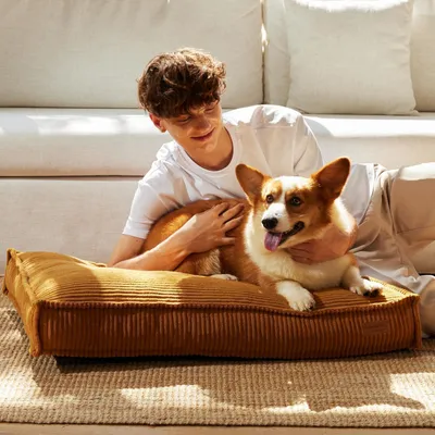 Image de Lit orthopédique pour chien, 91x64x14 cm, gris, lavable, imperméable, antidérapant