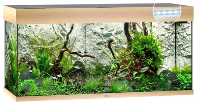 Productafbeelding van Juwel Rio 180 LED | 180L | 101 x 41 x 50CM Lichthout
