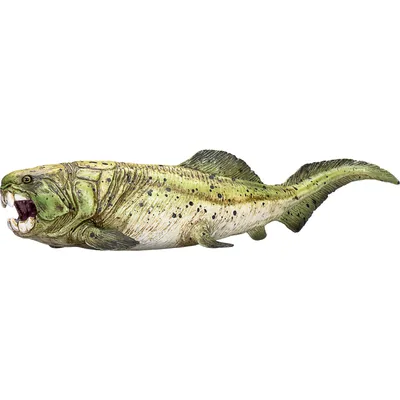 Image de Mojo Prehistorie Dunkleosteus - 387374