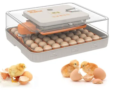Obrázek produktu pro Inkubátor Zimilo 56, digitální líhnička s automatickou regulací teploty a vlhkosti, automatickým otáčením vajec, pro kuřata, kachny a křepelky