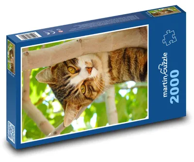 Zdjęcie produktu dla Puzzle 2000 Kot na drzewie - martinpuzzle