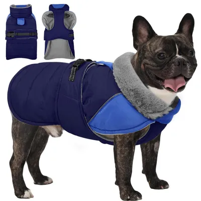 Image de Manteau d'hiver pour chien, imperméable, chaud, avec harnais, couleur bleue, taille M