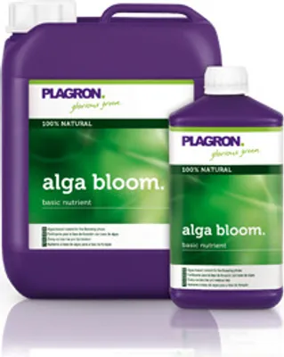 Two bottles of Plagron Alga Bloom nutrient solution are shown against a white background.