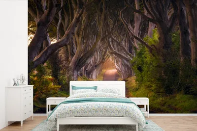 Produktbild von MuchoWow® Fototapete für Wohnzimmer oder Schlafzimmer Wandtapete Vinyl Motivtapete Natur - Waldweg - Märchenbaum - Weg mit Bäumen - Frühling - 600x400 cm - Vinyltapeten