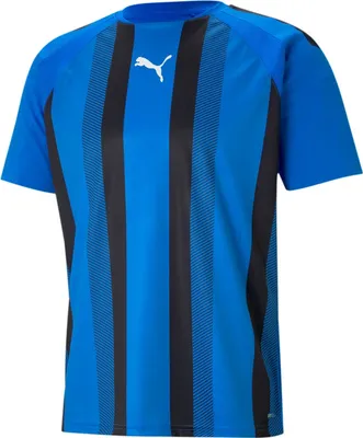 Produktbild von Puma Teamliga Trikot Kurzarm Kinder - Rot / Schwarz