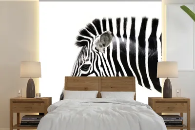 Produktbild von MuchoWow® Fototapete für Wohnzimmer oder Schlafzimmer Wandtapete Vinyl Motivtapete Zebra - Tiere - Weiß - 350x350 cm - Schlafzimmertapete