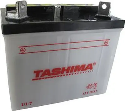 Image de Batterie Plomb Tashima Pour Tondeuse Autoportée 12v, 18a. L: 195, L: 130 H:185mm, + à Gauche. (livrée Sans Acide). - Batterie à