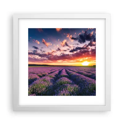 Produktbild von Gerahmtes Poster - Weißer Rahmen - Lavendel Berge Feld - 30x30 cm - Wand Bild - Wanddeko - Wandbilder - Kunstposter - Wandposter - Bilderrahmen - Bilder - Kunstdruck - Wandbild - P2WAC30x30-3816