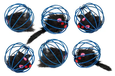Immagine prodotto di Giocattolo per gatti Palla a reticolo peluche mouse5 CM