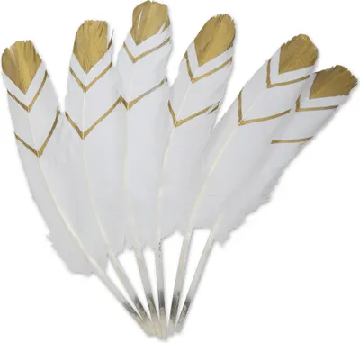 Produktbild von 6 Stück Federn Weiß Gold ca. 20 cm Basteln Karneval Fasching Halloween Cosplay