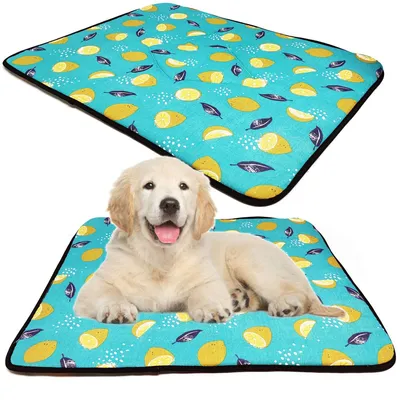 Image de Tapis antidérapant et portable pour chiens et chats